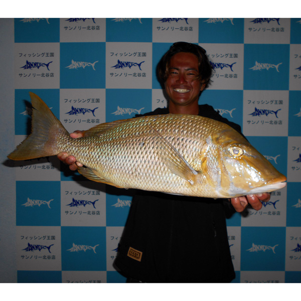 sannoryc's tweet photo. 釣師　：金城正真さん
釣行日：令和8年5月7日
釣場　：読谷
釣果　：タマン
全長　：61.5cm
重量　：2.73kg
#サンノリー #北谷 #釣具 #沖縄 #fishing #釣り #釣果 #タマン #読谷 https://t.co/DuMROXMXQf