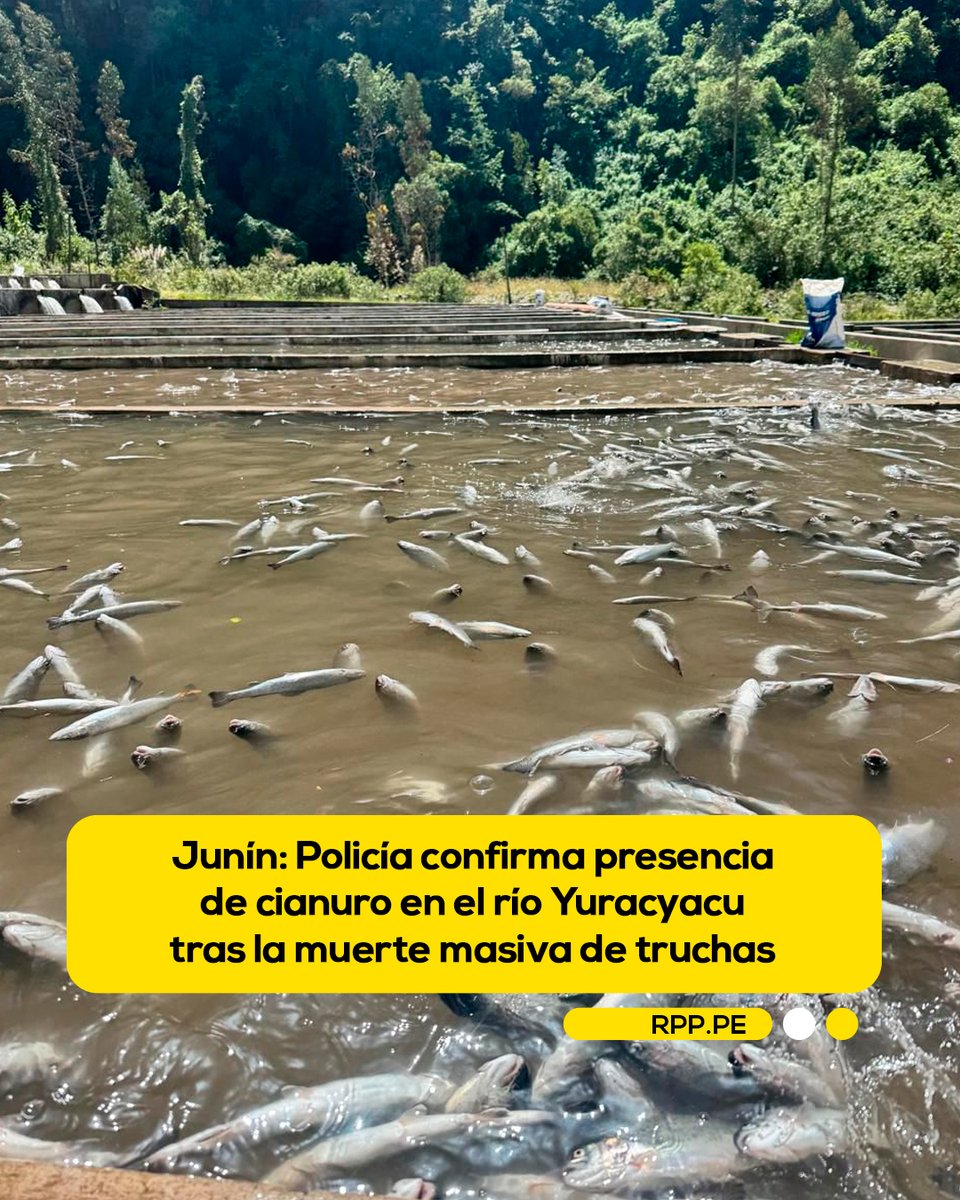 RPP Noticias tweet media