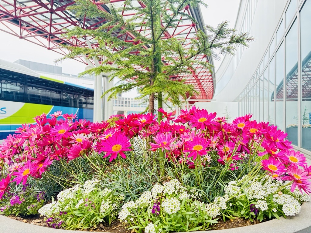 新千歳空港/New Chitose Airport tweet media