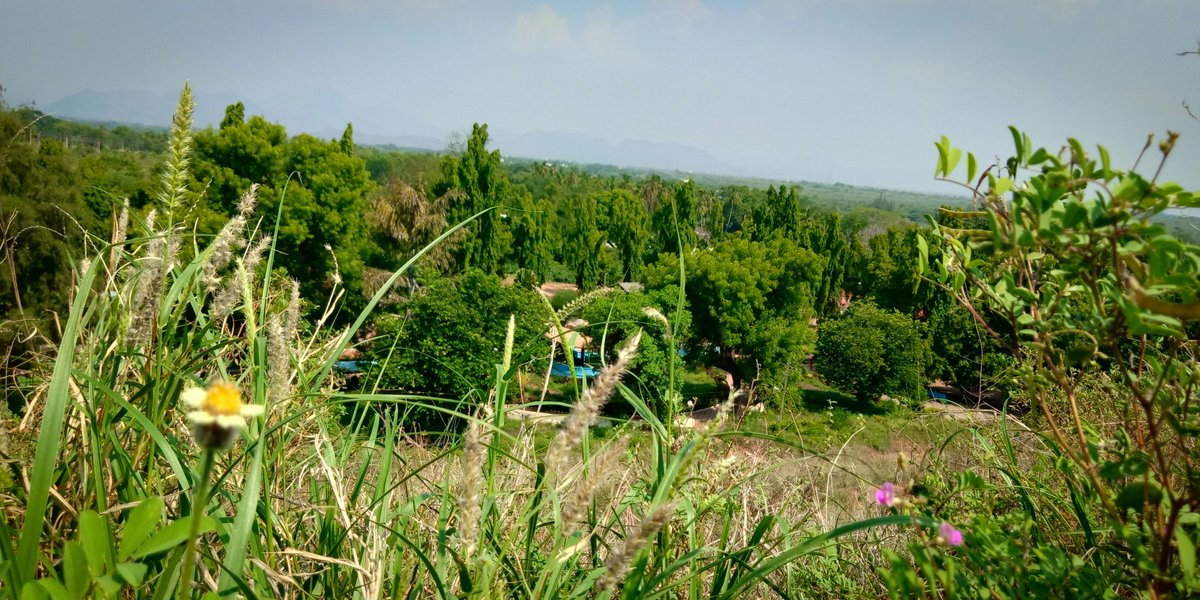 Nature Explore tweet media
