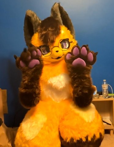 Tran Fox 🦊 🔜 AC, MFF tweet media