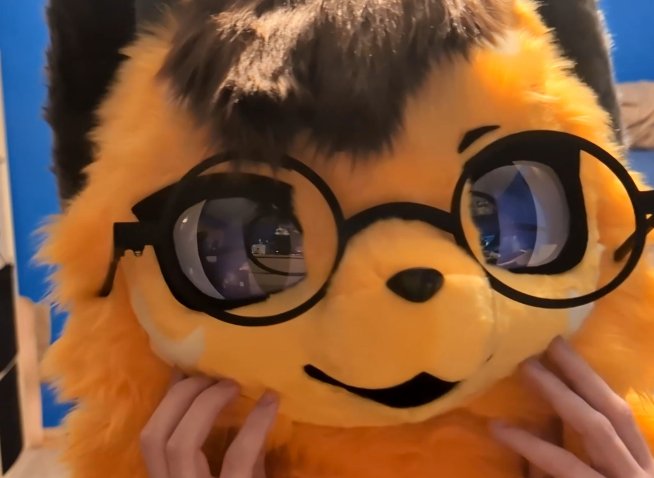 Tran Fox 🦊 🔜 AC, MFF tweet media