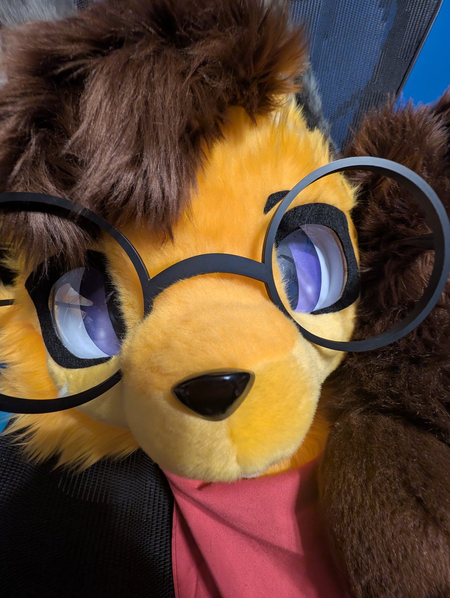 Tran Fox 🦊 🔜 AC, MFF tweet media