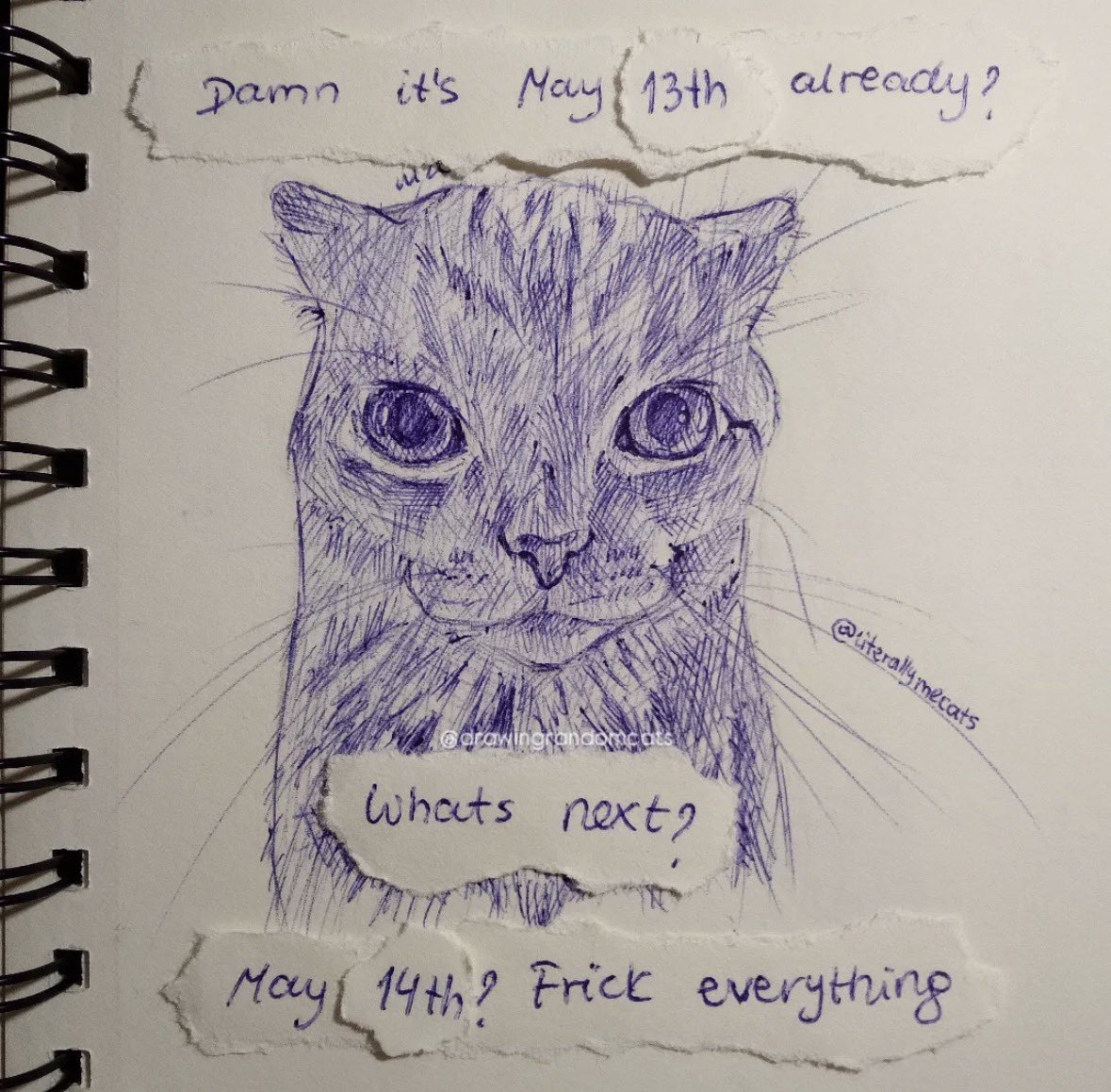 LiterallyMeCats tweet media