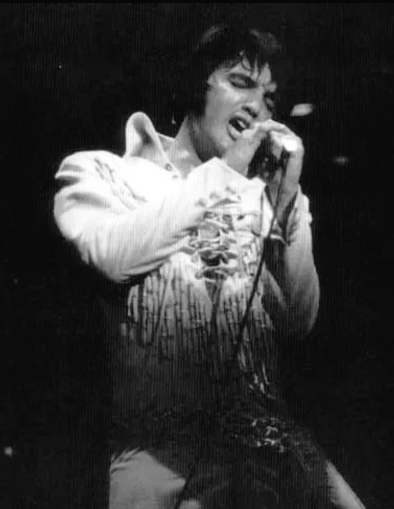 •◉wonder of elvis◉• {belinda} tweet media