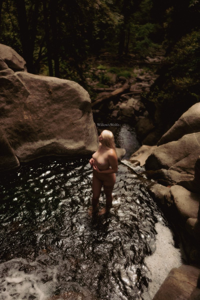 WillowxWolfe's tweet photo. ✨Naturalist 🌱 https://t.co/oJDlWUINml