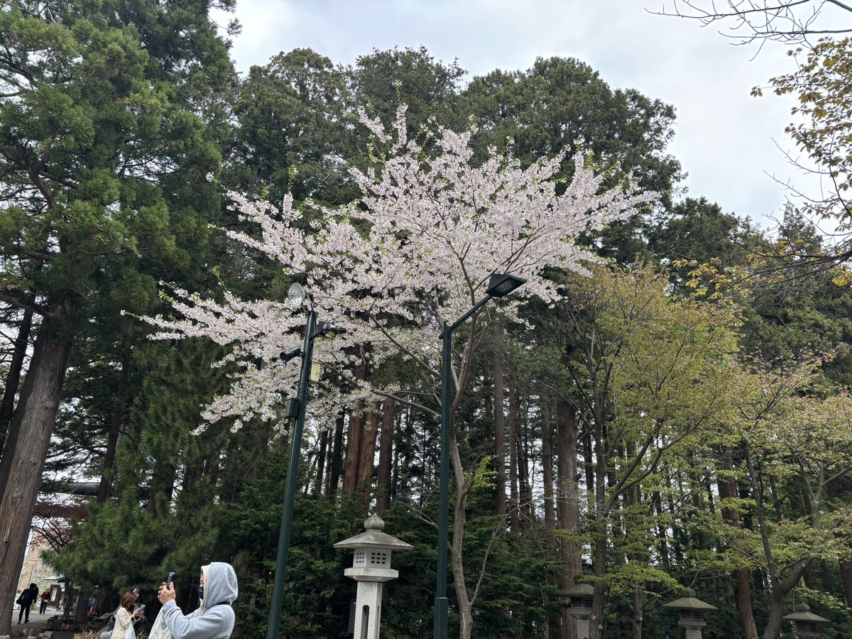singingmikan's tweet photo. https://t.co/xkMKtoGmHN