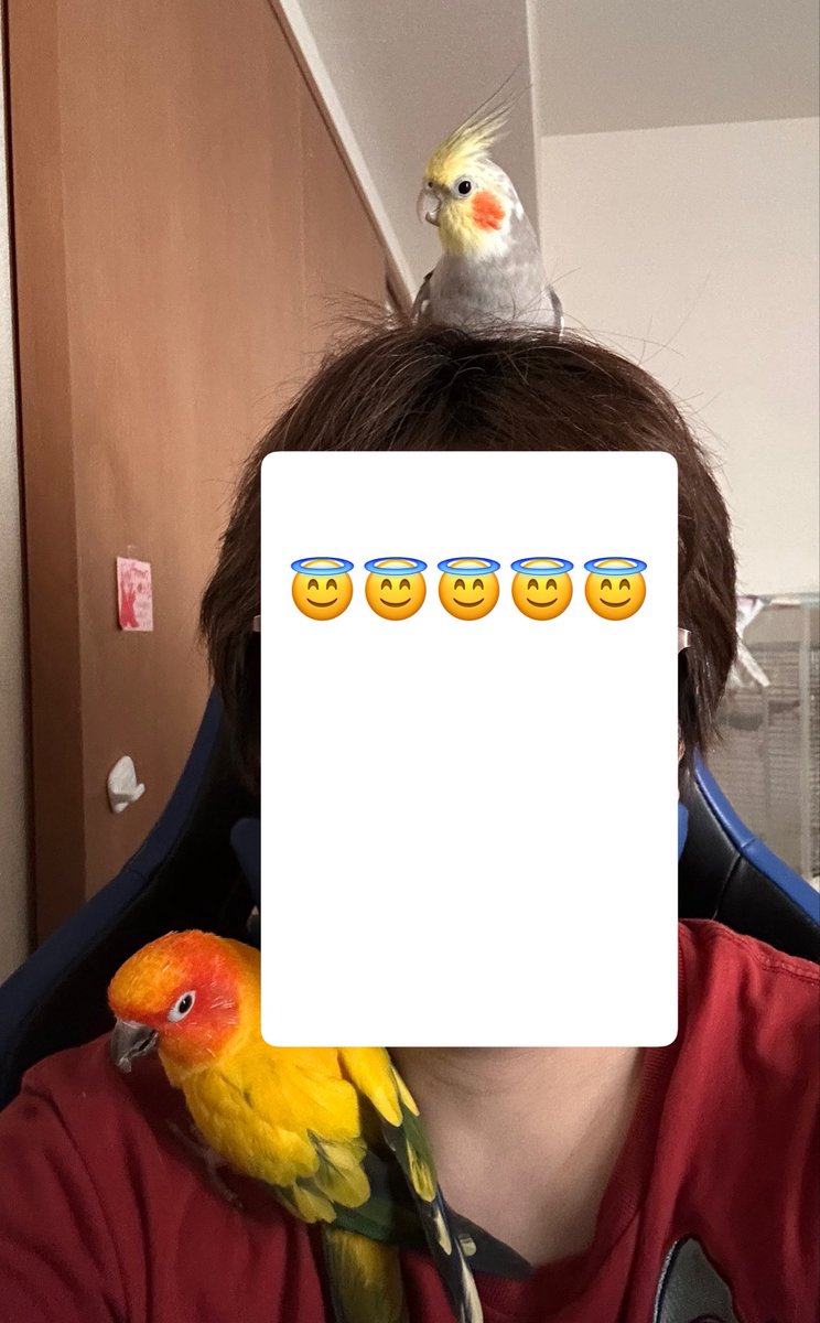 タカキヒロシ tweet media