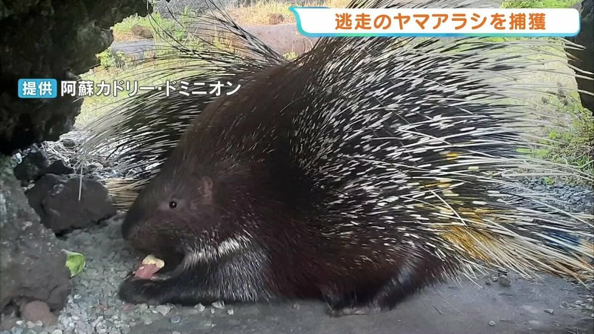 ライブドアニュース tweet media