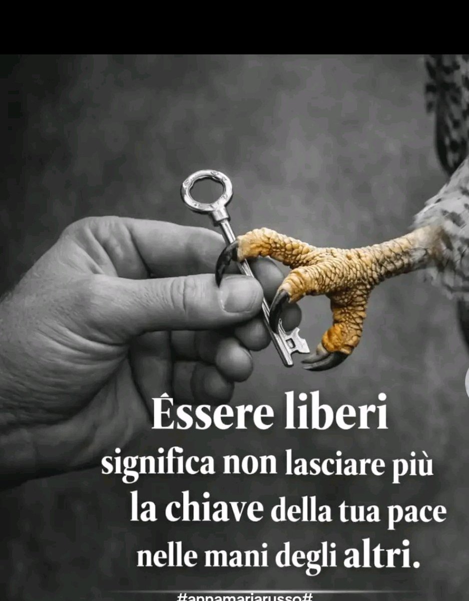Mari tweet media