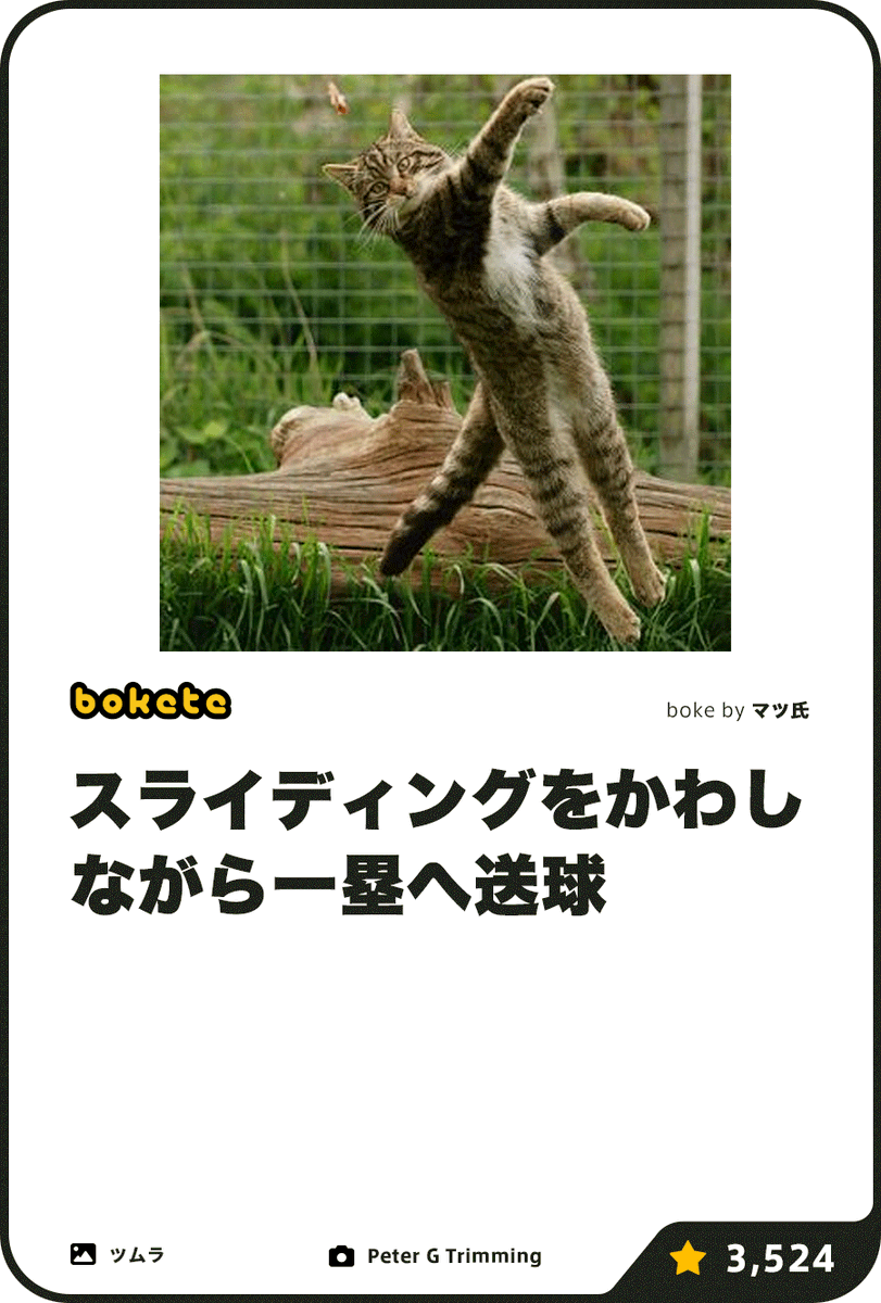 ボケて(bokete)公式 tweet media