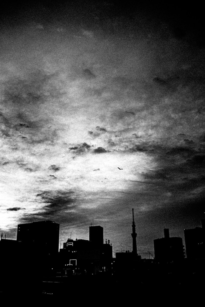 Kiyonosuke Kawamura tweet media