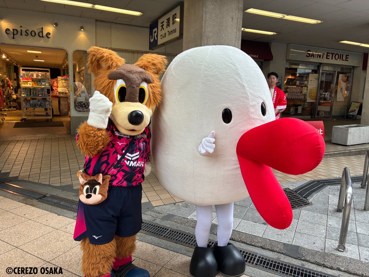 セレッソ大阪オフィシャル (@crz_official) / Posts and Replies / X