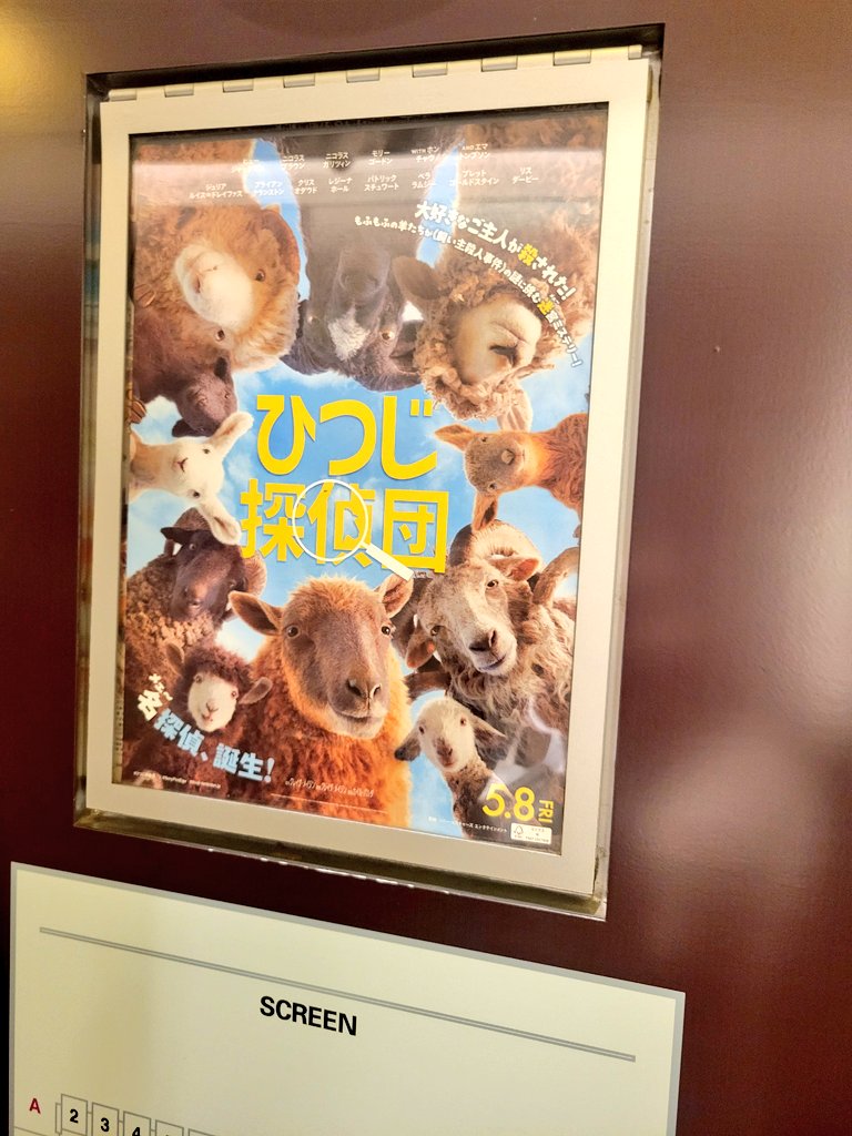 everblue64's tweet photo. ひつじ探偵団観てきた！！
かわいいひつじ達とヒュージャックマンの共演✨楽しみにしてきたけど、それだけじゃない良さがあった！
とても良い映画でした☺️みんな観てー！ https://t.co/ZLyK85XCIo