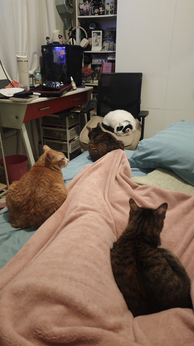 bintik_'s tweet photo. kenapa sih semuanya ngeliatin bintik tidur?? https://t.co/FzCGgzr4Kq