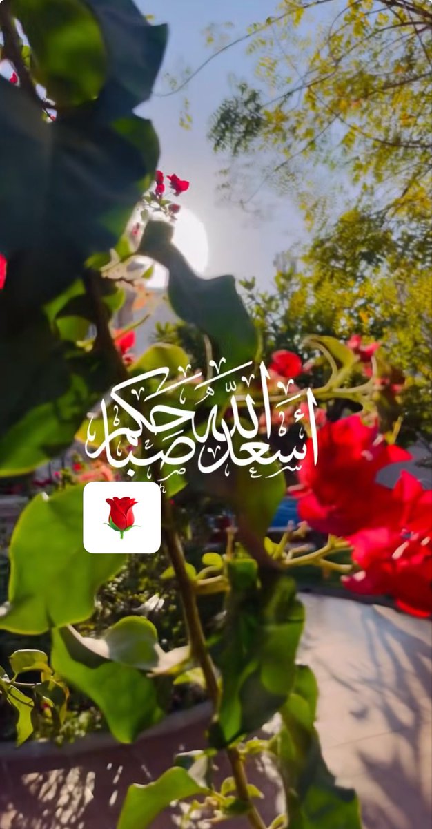 cv15551's tweet photo. #يخبرني_الصباح #صباح_الخير_والسعادة https://t.co/pQLEjlV4wq