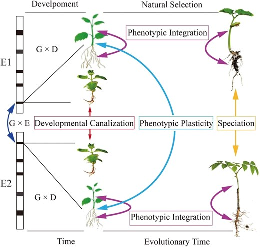Hortres's tweet photo. Functional game-graph theory transforms gene mapping into interaction networks, enabling holistic systems-level dissection of stress response genetics. ð®ð§¬ #GameGraph #StressResponse #SystemsGenetics @OxfordJournals
Details: https://t.co/UeVEVLX4c0 https://t.co/SmGoAtNsOs