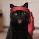 SolanaTren59241's tweet photo. New CTO Detected $BKC(Black Kitten Crew)

7Rx1Bo5fmELpW58rsmiMzua25UV9qbfFVwhg7hdbpump

Check Chart - Signal: https://t.co/TEKSeOMxip

Volume: $2.4K with 163 txs
Liq: 23.9 SOL | MC: $2.9K https://t.co/0xipG5rd9d