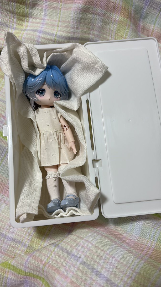 elche8doll's tweet photo. ボニバニ6もういっちょ。
既出かもしれませんが百均(確かキャンドゥ)で売ってるケース、ボニバニ6ちゃん1人入るのジャストです。
私は底にエアパッキンを敷き、白布巾で包んでいます。お裁縫得意な方はおくるみとか可愛くしてあげるといいかも。
#ボニバニ6
#兎の夢匣 https://t.co/AuI7u7C87m