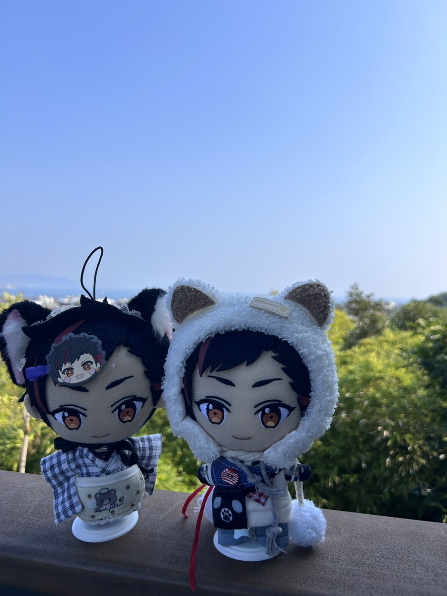 Huihui tweet media