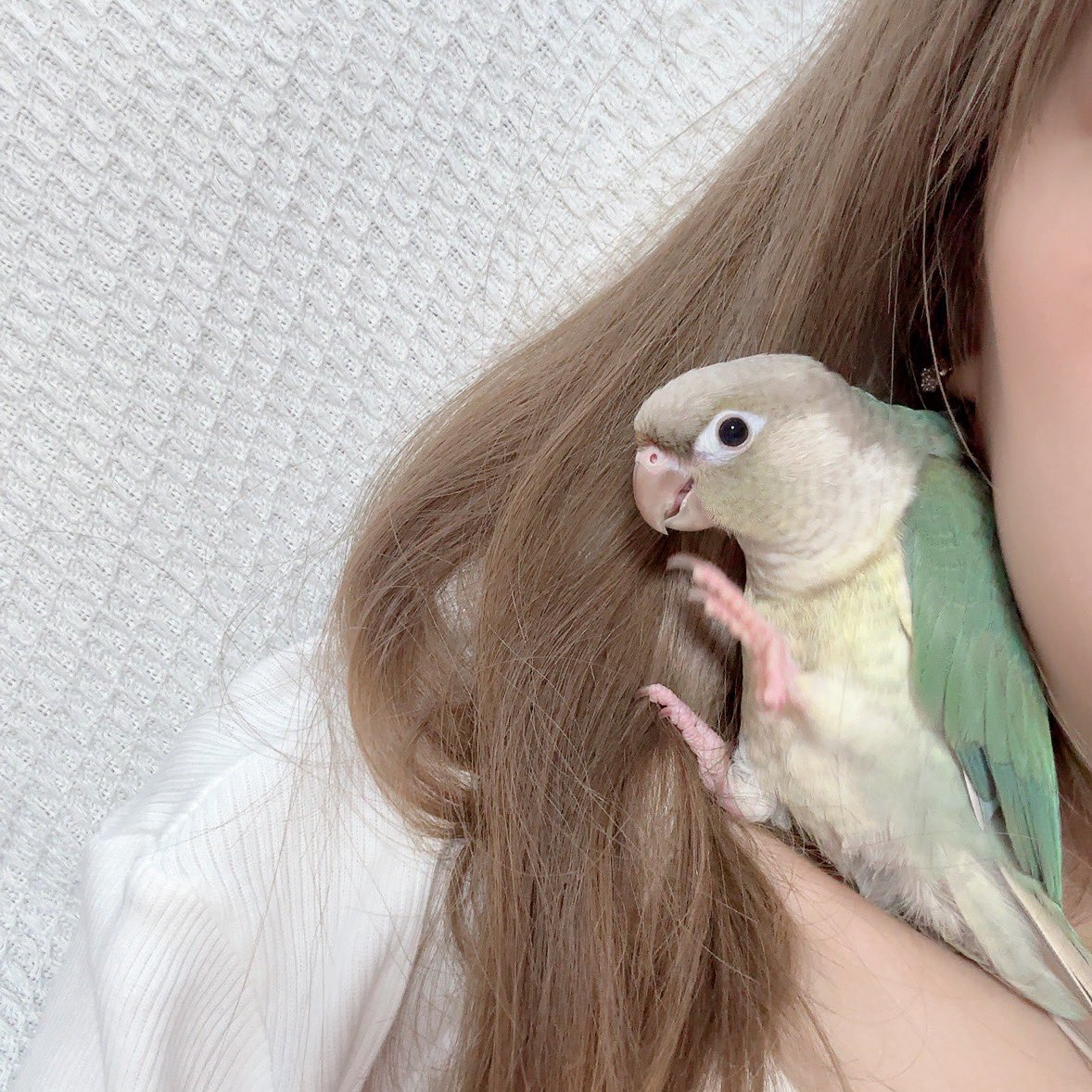 すいちゃん⸜🌷︎⸝‍ tweet media
