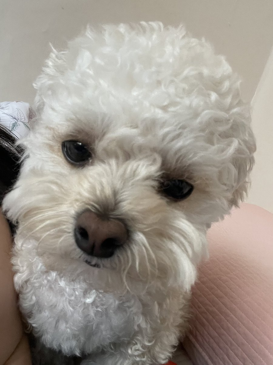 최밥풀 tweet media