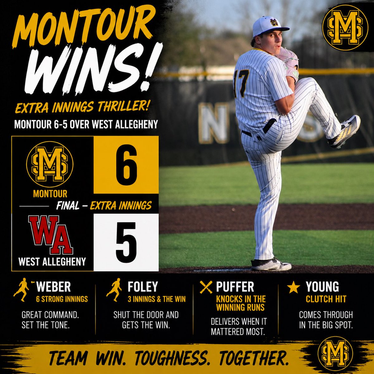 Montour Baseball tweet media