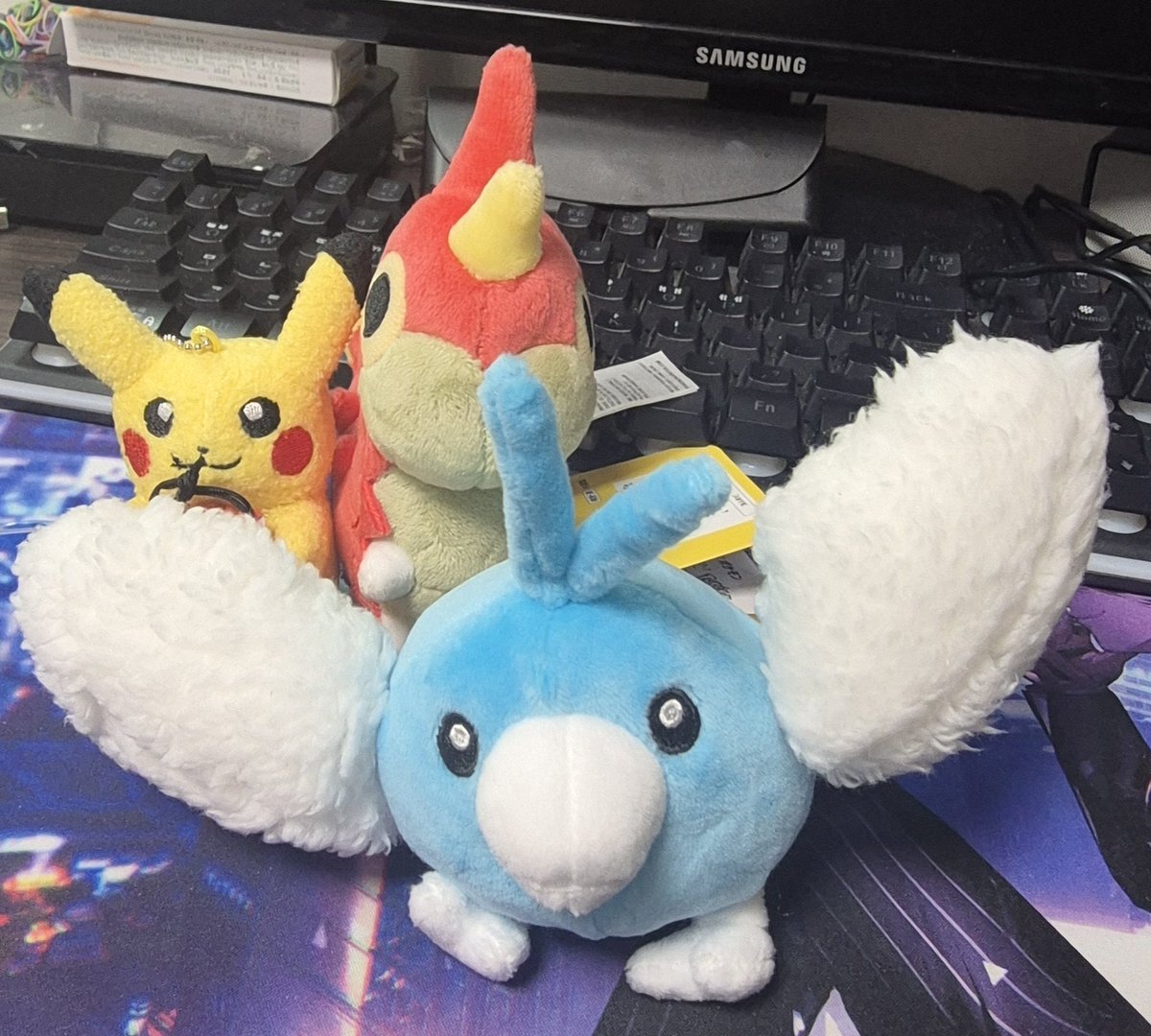 (의상판매중) 쪼람지🐿 tweet media