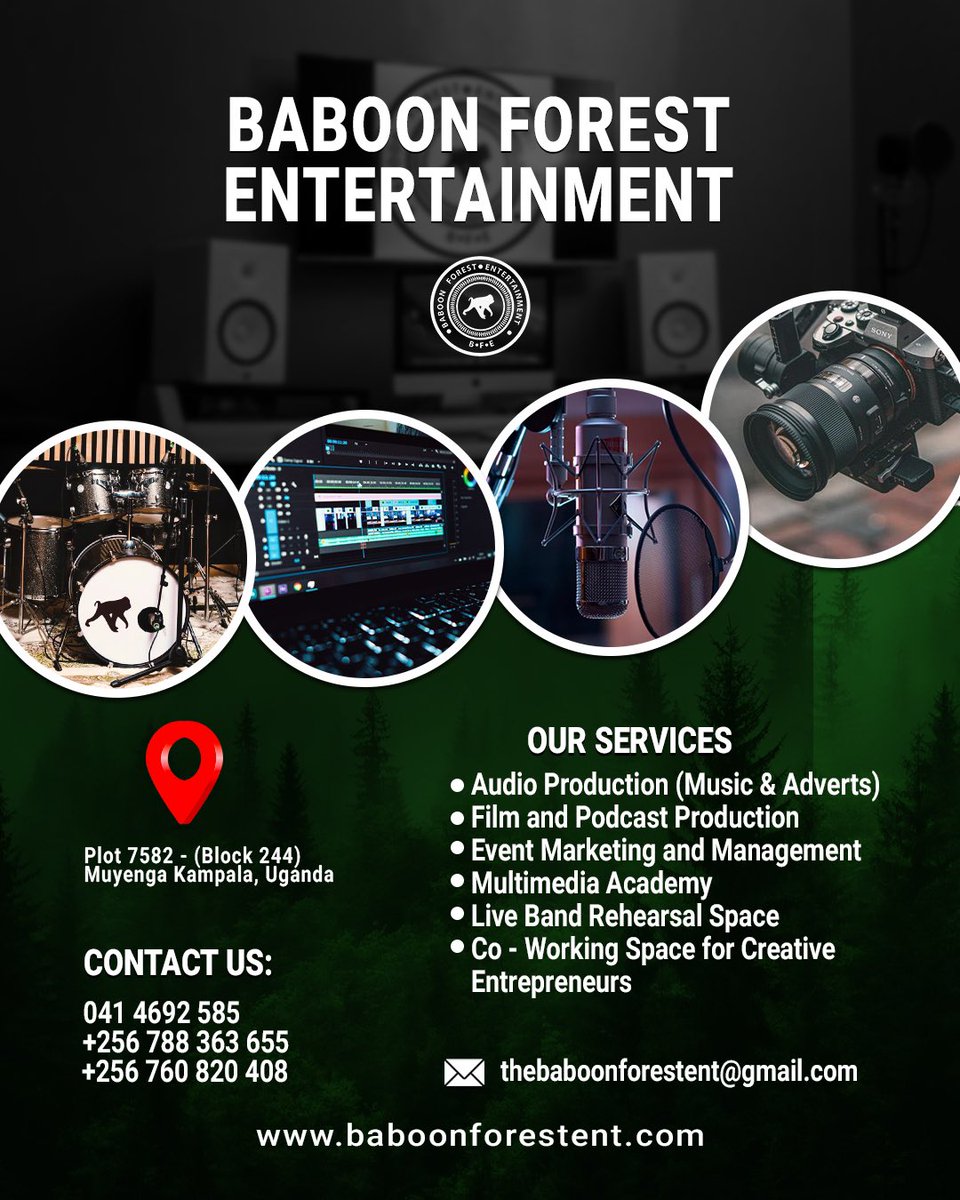Baboon Forest Entertainment tweet media