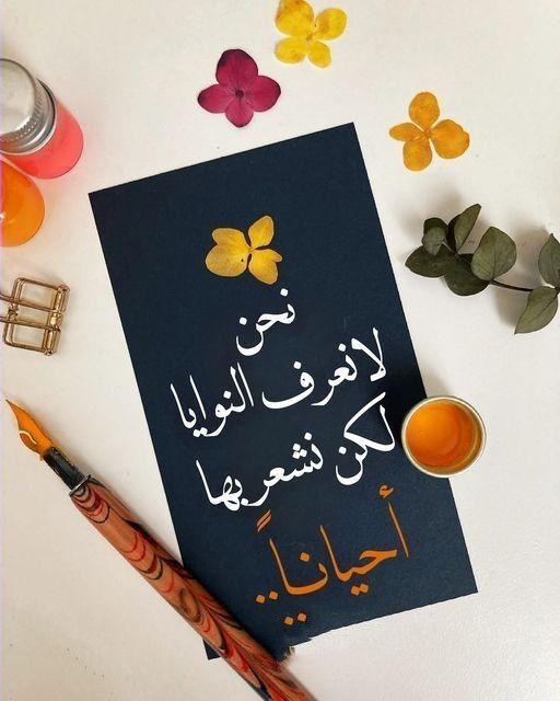 shimakhamis7876's tweet photo. نشعر بالنوايا أحيانا..
فالقلوب تدرك صدق المحبة..وتفهم دفء الاهتمام
كما تشعر أيضا ببرود التغير وإن أُخفي خلف الابتسامات..
لذلك لا ترهق قلبك بمحاولة تفسير كل شيء..
فما يخبئه الناس في صدورهم تكشفه الأيام والمواقف..
ويبقى الله وحده يعلم نقاء النيات وخفايا القلوب☺️ https://t.co/1LsB9RJjuk