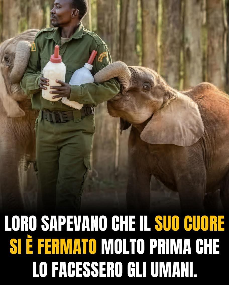 Patrizia💙 tweet media