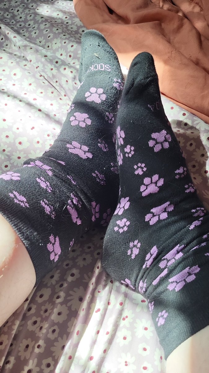 puppy🐕ᯓ★ tweet media