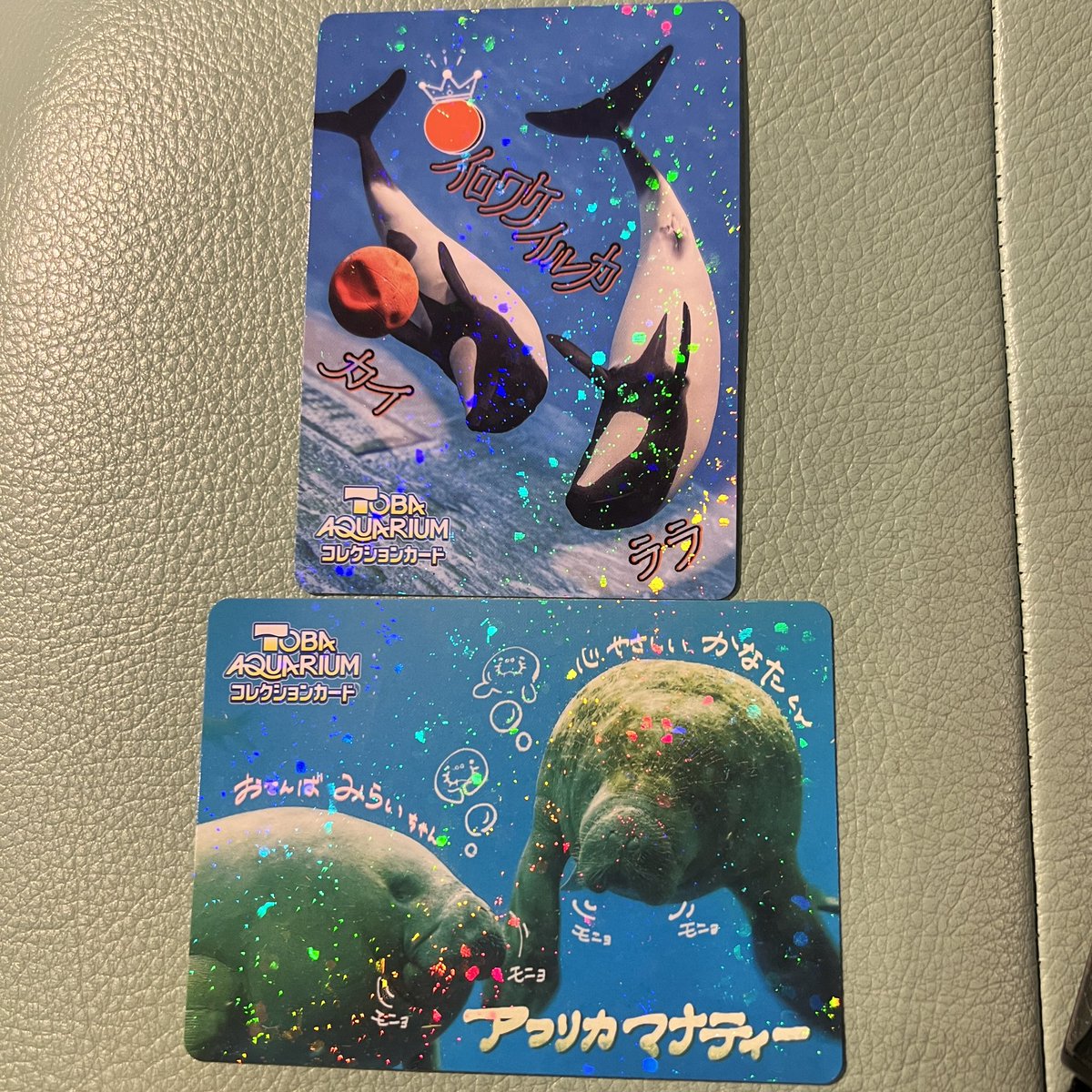 交換】鳥羽水族館 コレクションカード コレカ 譲 アフリカマナティ