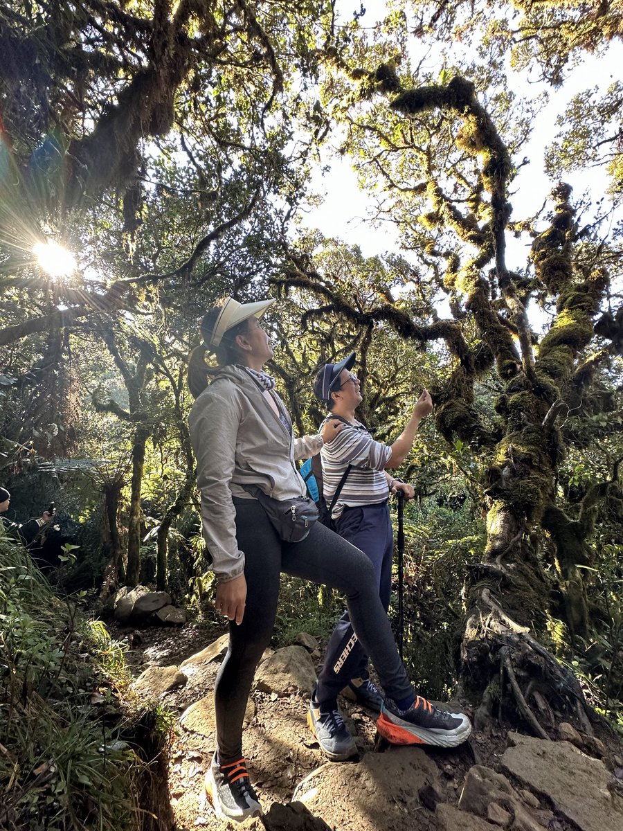 Chedeng29's tweet photo. "Forgive yourself for not knowing earlier what only time could teach. For we are living for the 1st time regardless of age." https://t.co/Tjloev2Qtn