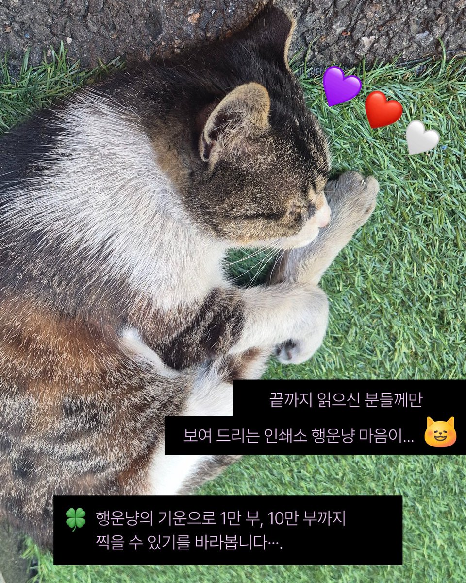 리드비 tweet media