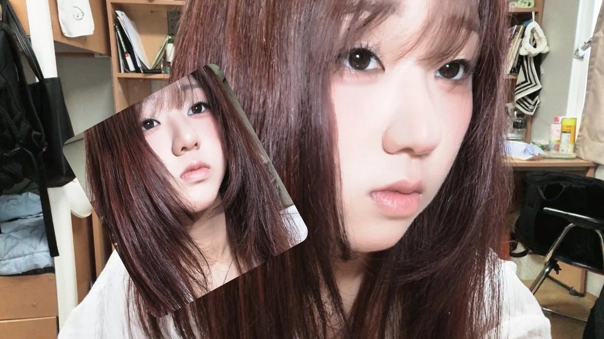 비열 가운데 피어난 tweet media