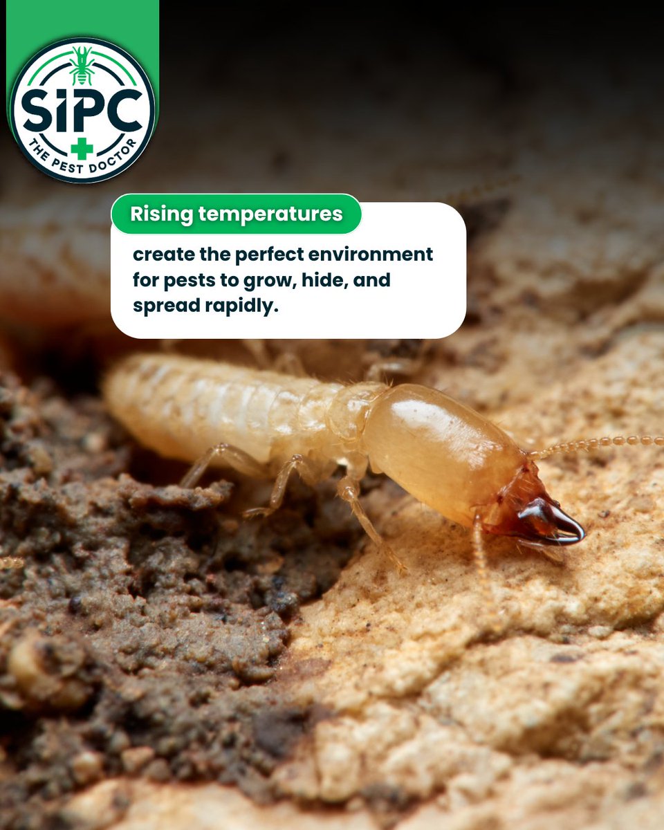 SIPC tweet media