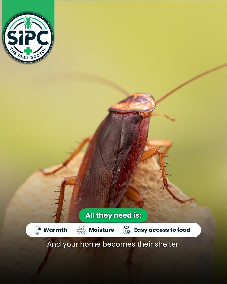 SIPC tweet media