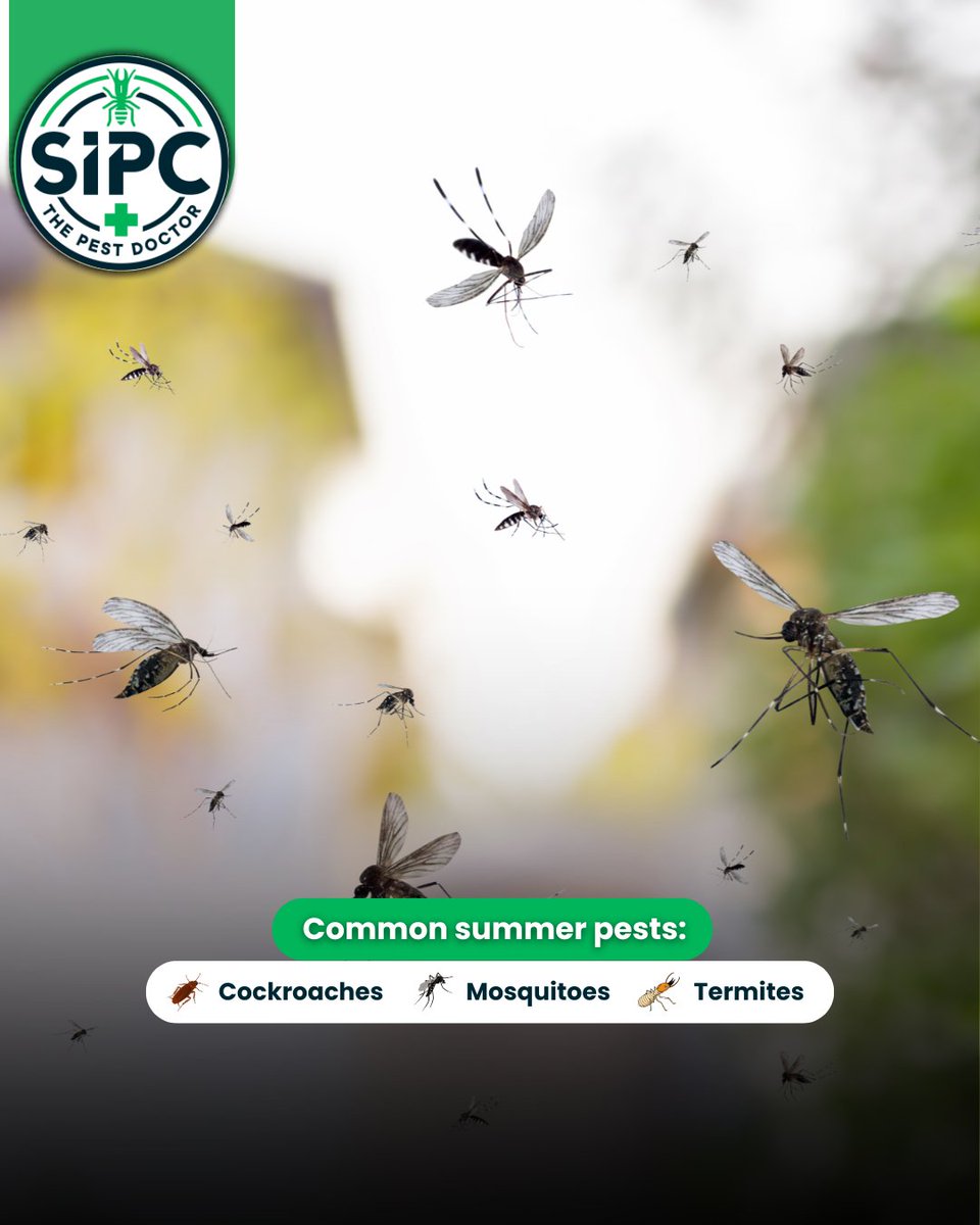 SIPC tweet media