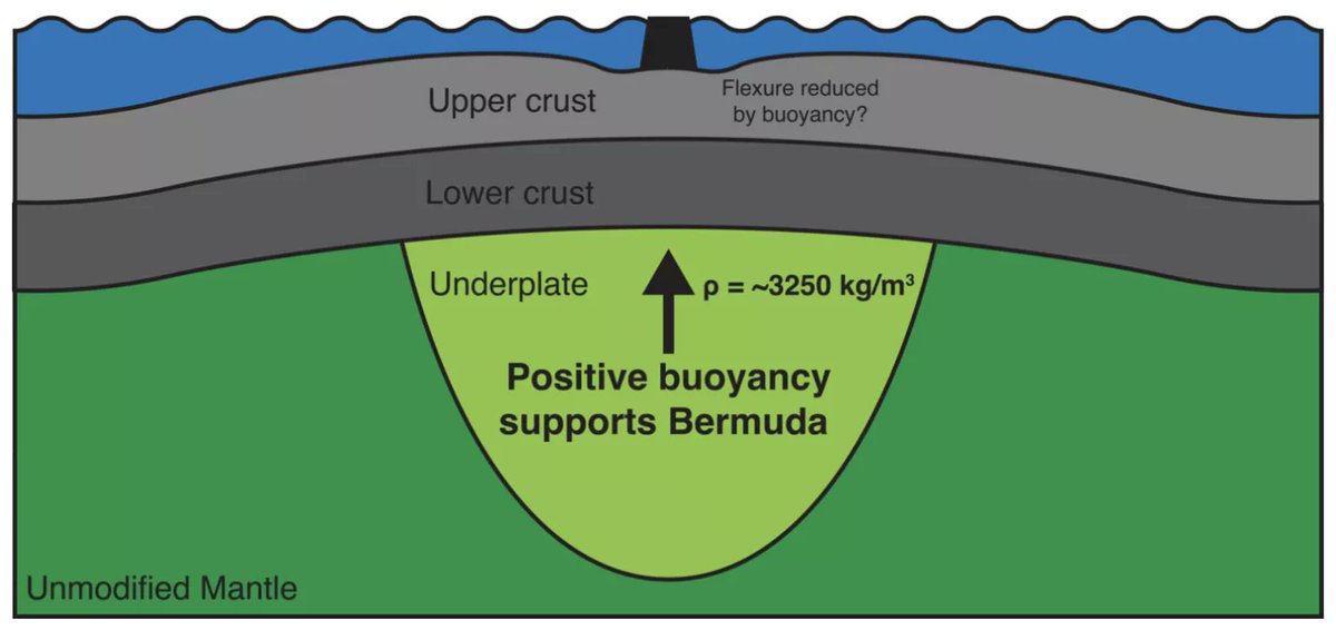 Nature is Amazing ☘️ tweet media
