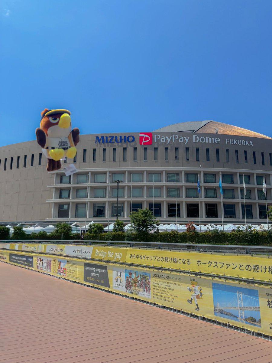 すず⭐️ tweet media