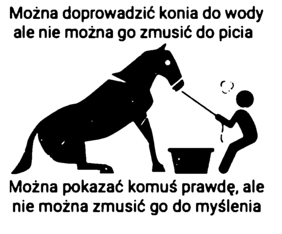 Mashup (Andrzej) tweet media