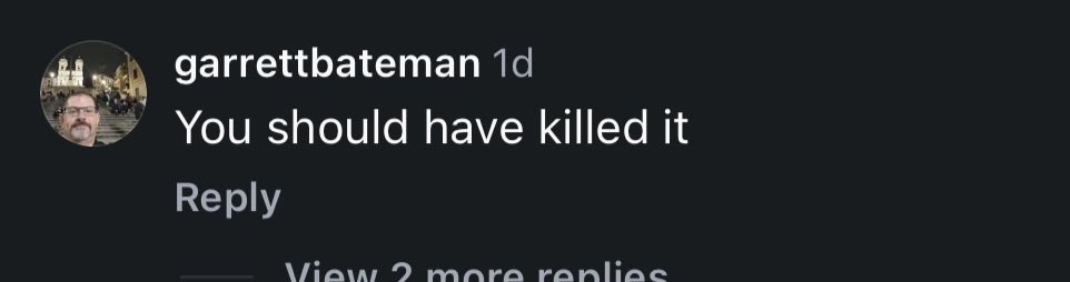 T 🥩 tweet media