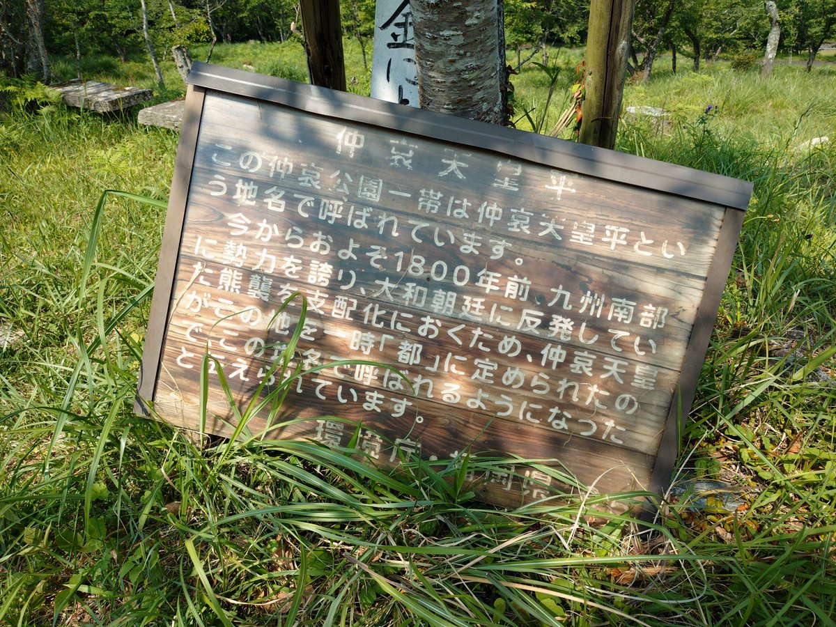 賢仁 (ハリボテ) tweet media