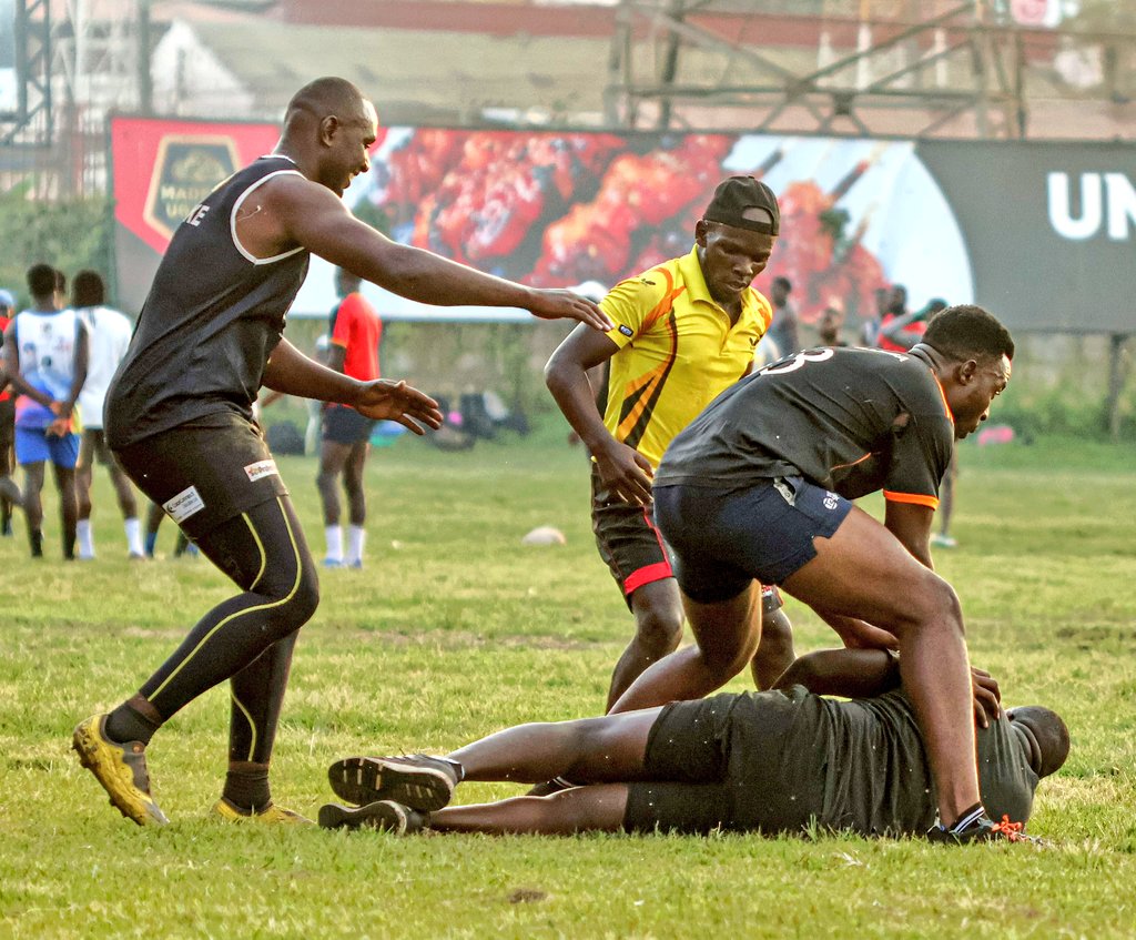 Buffaloes Rugby Club tweet media