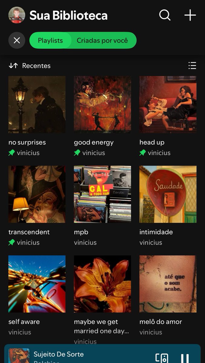 Nmrl as minhas playlist são lindas demais