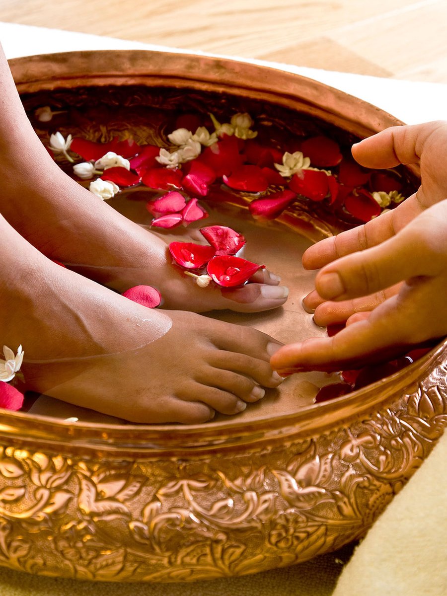 taj_coromandel tweet media