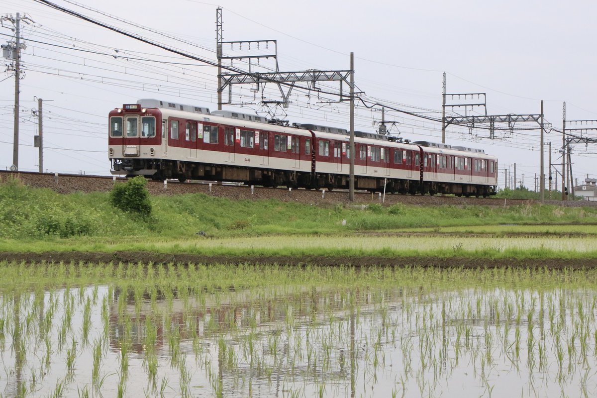 さんぎ旅人 tweet media