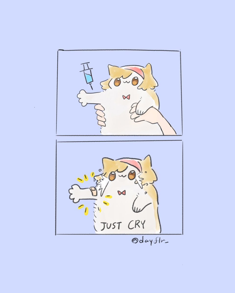 猫ジータページです。 ネコのジータちゃん check up