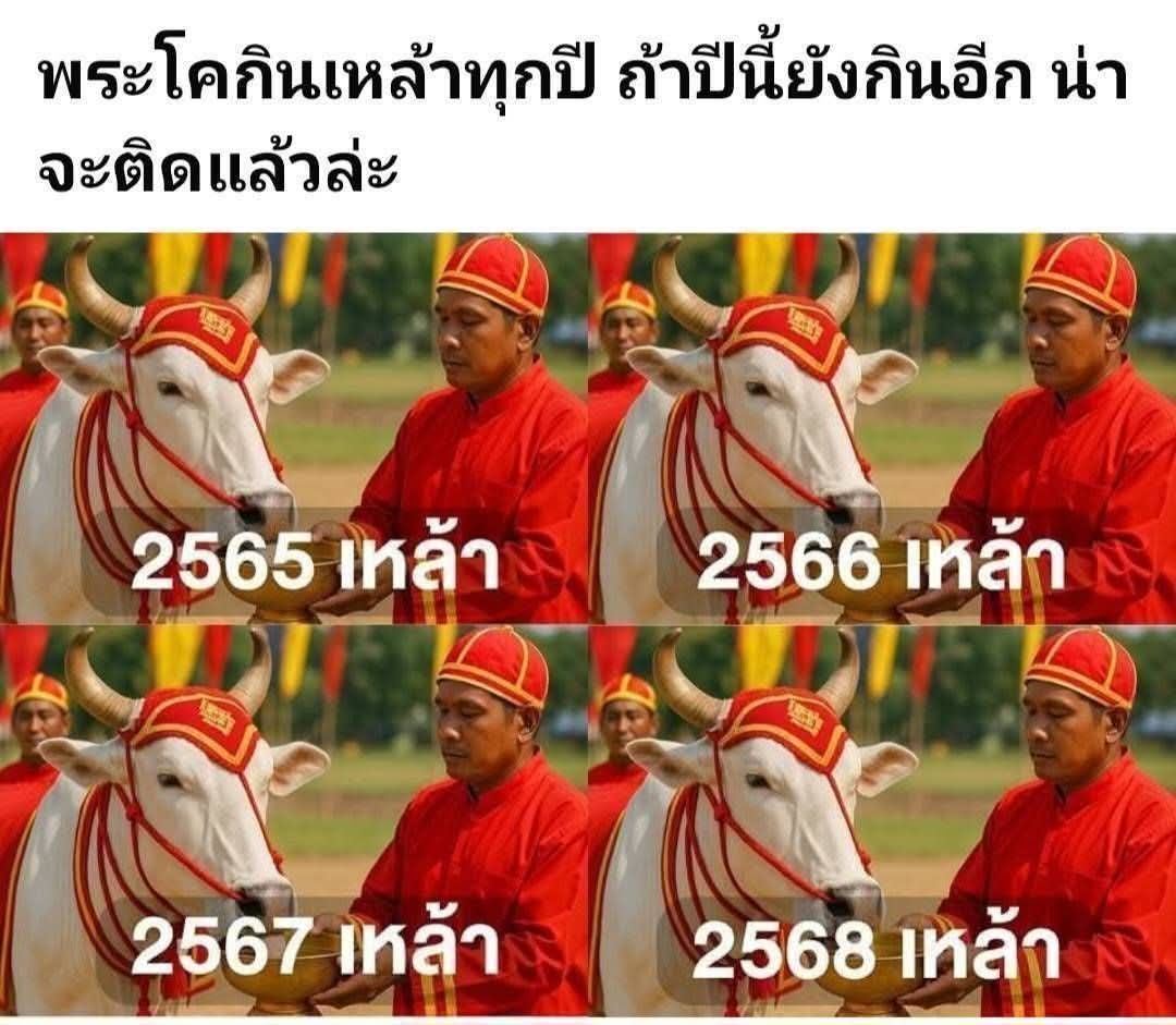 ลมเปลี่ยนทิศ 🇹🇭💜🇹🇭 tweet media